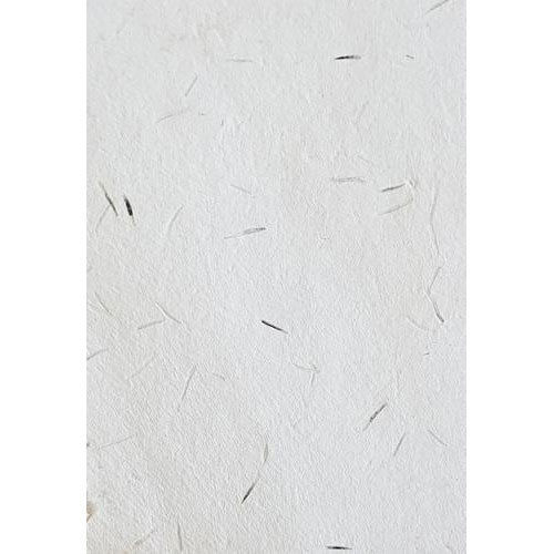 Premium Grade Marigold Seed Handmade Paper Sheet