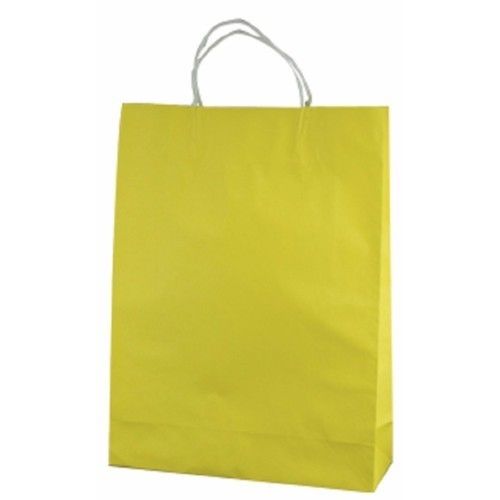 Plain Craft Paper Carry Bags
