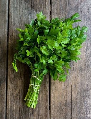 Farm Fresh Coriander Leaves