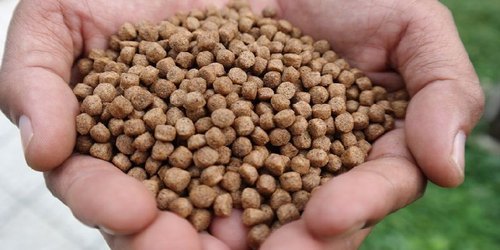 Floating Fish Feed for Faster Growth and Good Health