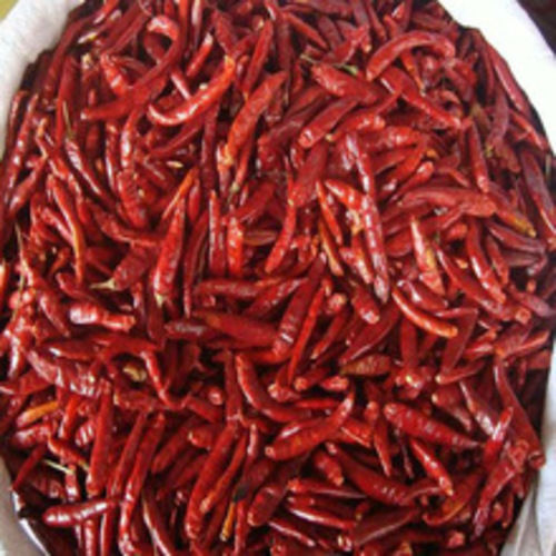 Healthy and Natural Long Red Chillies Without Stem