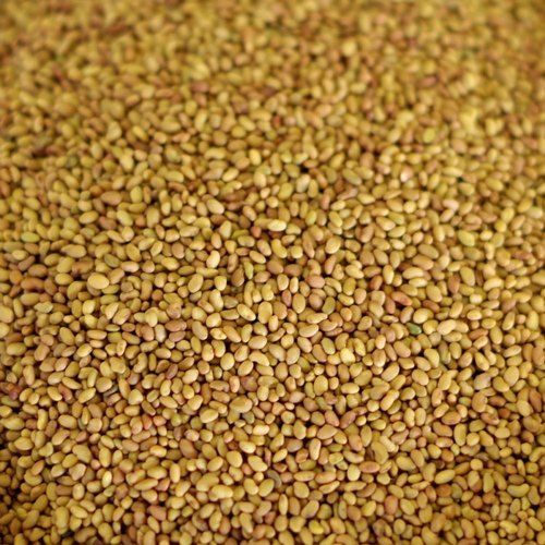 Highly Natural Alfalfa Seeds