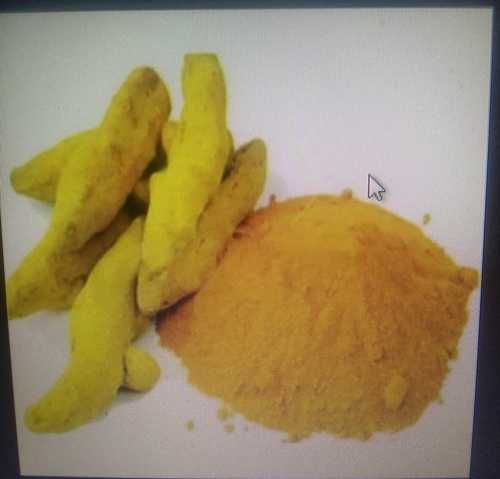 Dried Spice Turmeric Powder