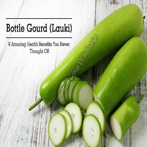 Healthy And Natural Fresh Bottle Gourd Phase: Three Phase