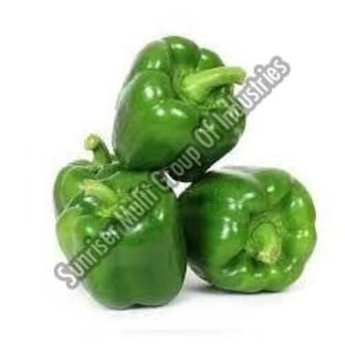 Healthy and Natural Fresh Green Capsicum