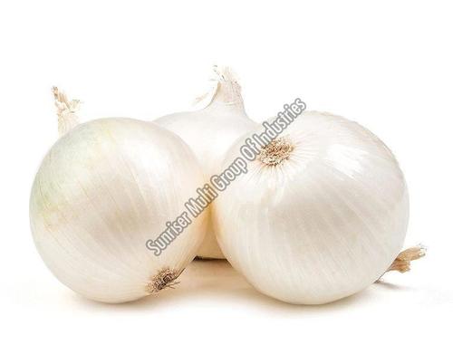 Organic Large and Medium White Onions - Raw, Round and Oval Shape | Very Good Food Grade Quality, Natural Taste, Non Harmful for Cooking and Human Consumption