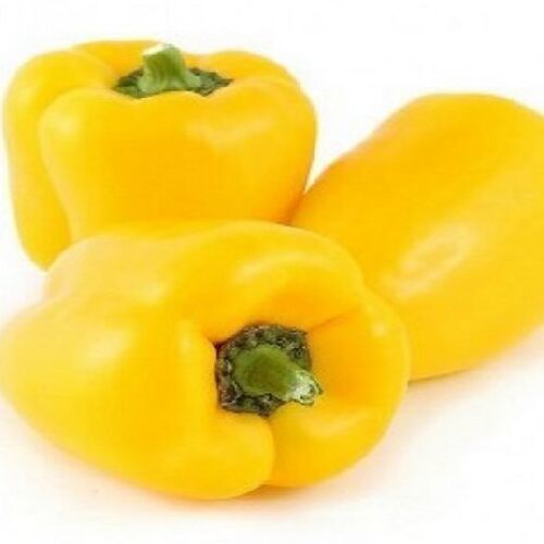 Healthy And Natural Fresh Yellow Capsicum Shelf Life: 5-7 Days