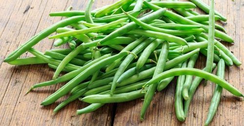 Healthy and Natural Organic Fresh French Beans