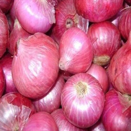 Healthy and Natural Organic Fresh Pink Onion