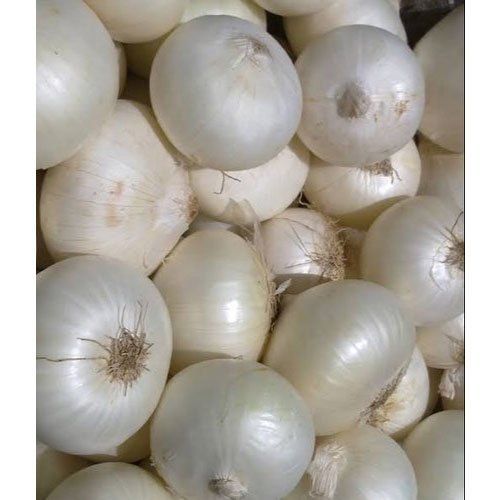 Organic Fresh White Onion