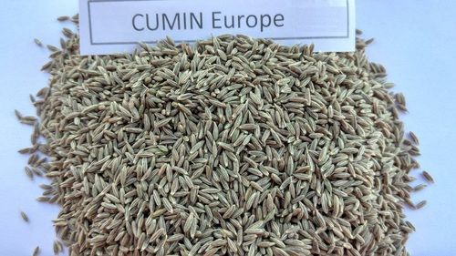 Cumin Seeds For Spices