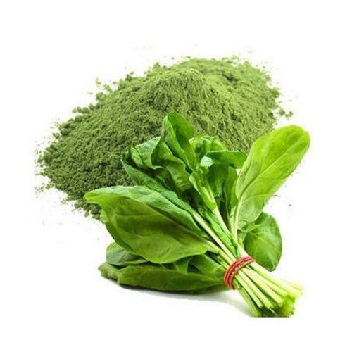 Dehydrated Green Spinach Powder For Cooking