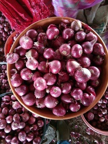 Natural Fresh Organic Malaysian Red Onion at Best Price in Nashik | A ...