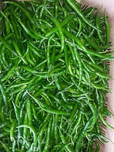 Fresh Whole Green Green Chilli