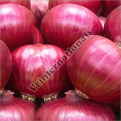 Healthy and Natural Fresh Nashik Onions