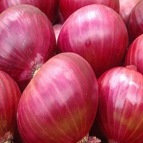 Healthy and Natural Fresh Pink Onion