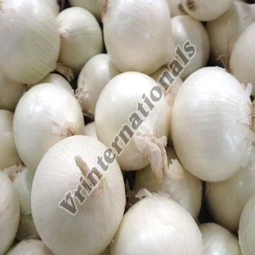 Healthy and Natural Fresh White Onion