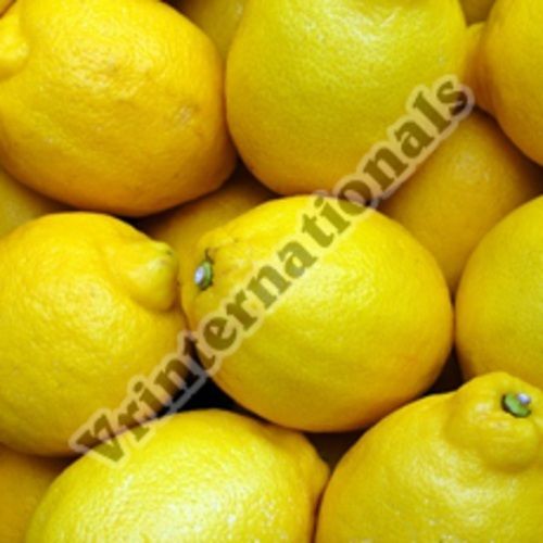 Round Healthy And Natural Fresh Yellow Lemon