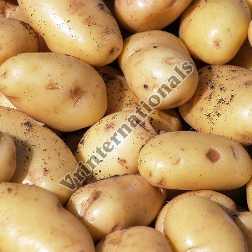 Healthy and Natural Fresh Pukhraj Potato