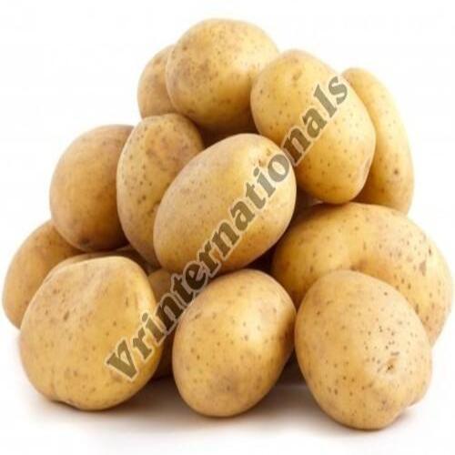 Healthy and Natural Organic Fresh Badshah Potato