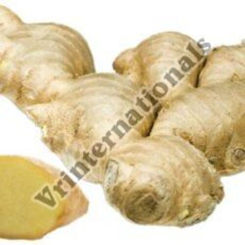 Printed Healthy And Natural Organic Fresh Ginger