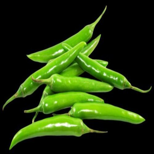 Healthy and Natural Organic Fresh Green Chilli