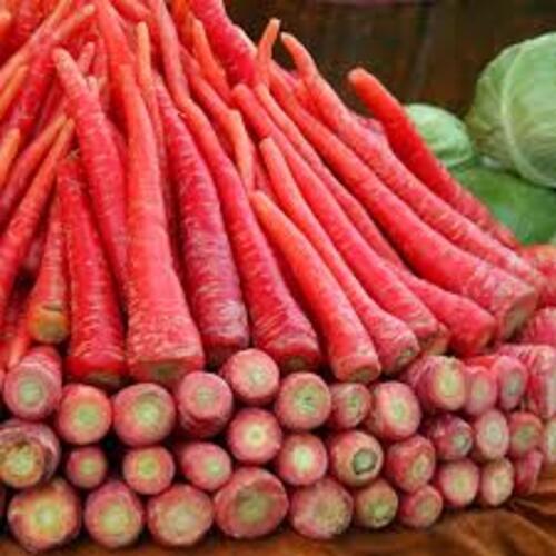 Healthy and Natural Organic Fresh Red Carrot