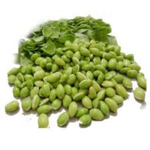 Healthy And Natural Organic Fresh Valor Beans