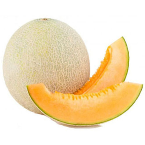 Healthy And Natural Fresh Muskmelon Size: Standard