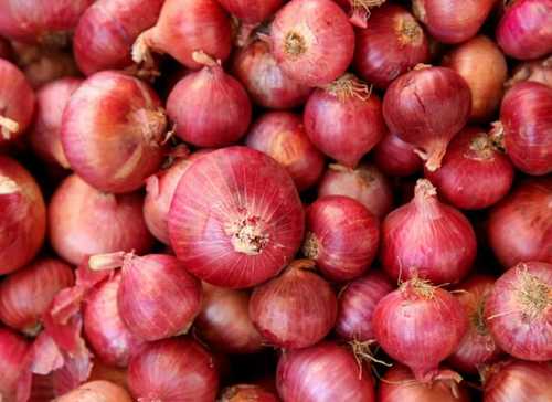 Organic Raw Red Onion