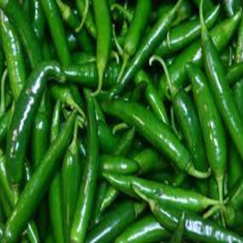 Healthy And Natural Organic Fresh Green Chilli