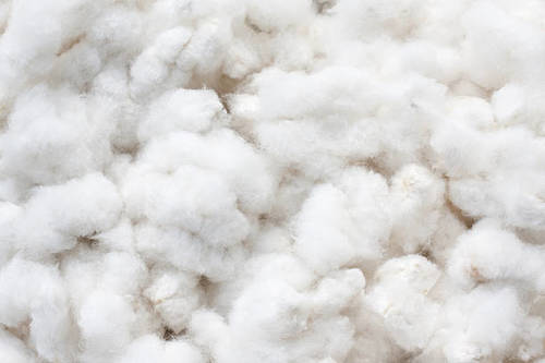 Raw White Plain Cotton