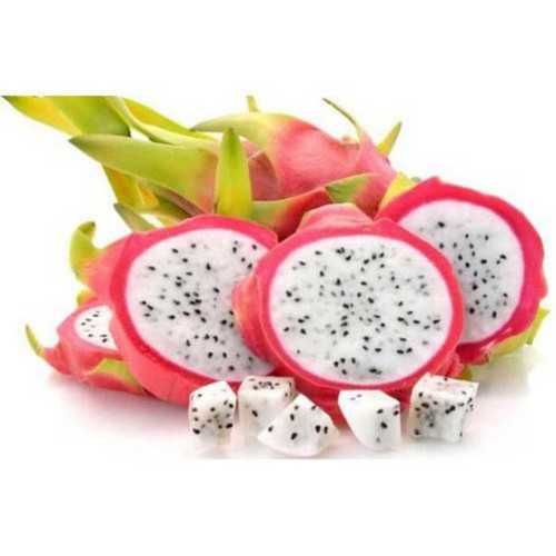 Well Watered Dragon Fruit