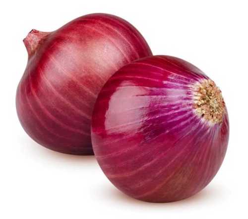 Round Fresh Organic Red Onion