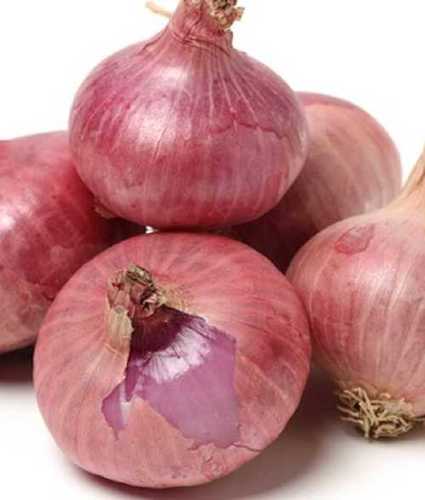 All Size Freshness Onions