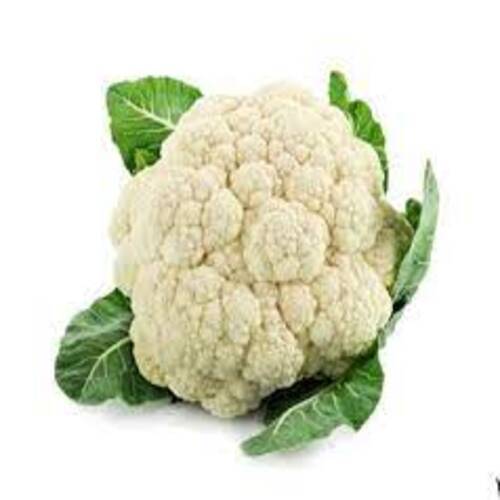 Healthy And Natural Fresh Cauliflower Shelf Life: 5-7 Days