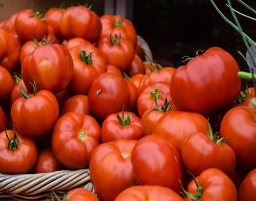 Healthy and Natural Fresh Organic Tomato