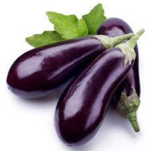 Healthy and Natural Fresh Violet Brinjal