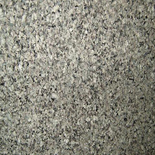 Desert Green Granite Slabs Size: Standard