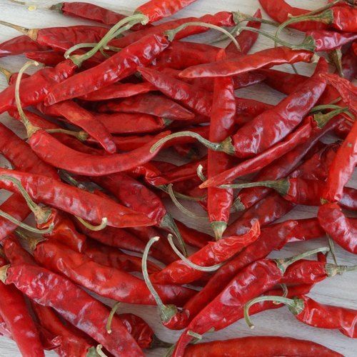 Healthy and Natural Dried Red Chilli With Stem 