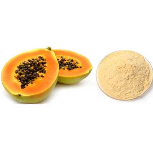 Papaya Fruits Extract Powder