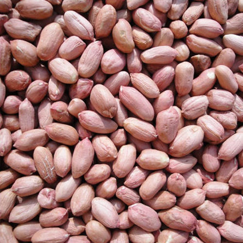 Healthy and Natural Groundnut Seeds