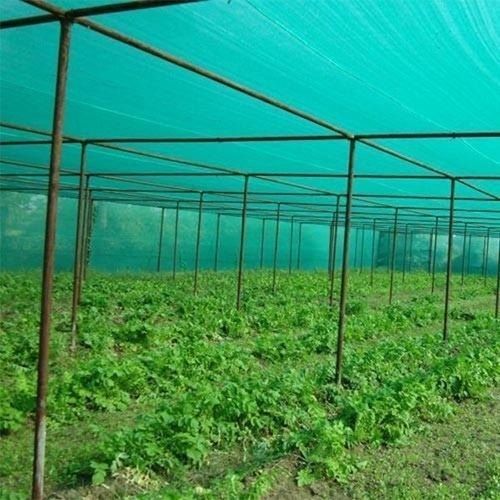 Green Uv Protected Agriculture Outdoor Hdpe Shade Net