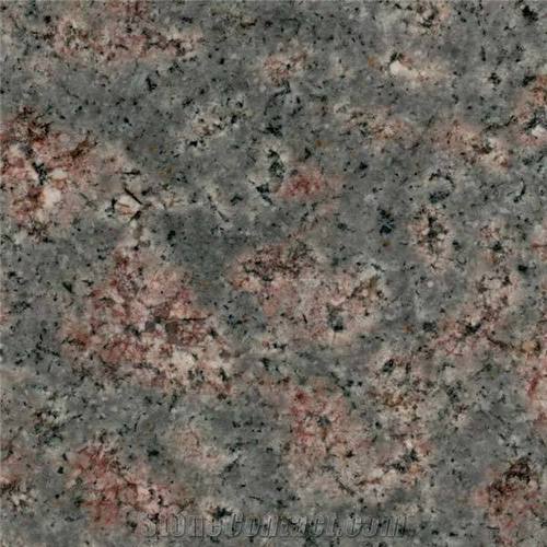 Polished Bala Flower Granite Slabs