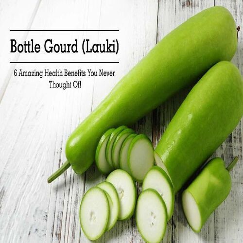 Healthy and Natural Green Fresh Bottle Gourd