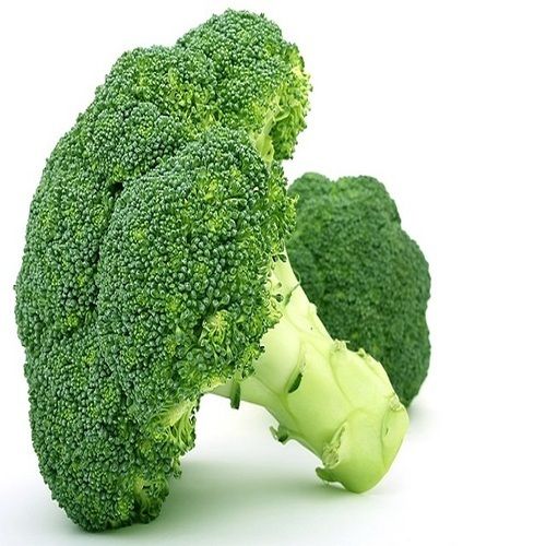 Healthy And Natural Fresh Green Broccoli