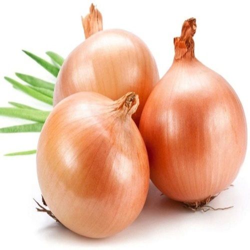 Organic Fresh Yellow Onion - Available in 25kg and 50kg Bags | Food Grade, Naturally Tasty, Non-Harmful, Perfect for Cooking and Human Consumption