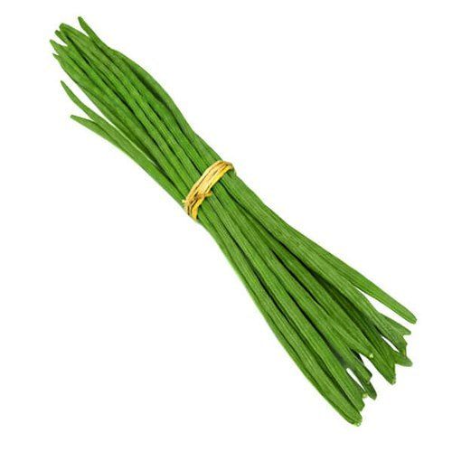 Healthy and Natural Fresh Green Drumstick