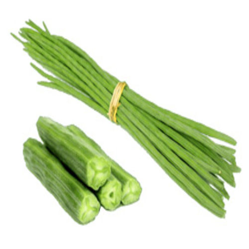 Healthy and Natural Fresh Green Drumsticks