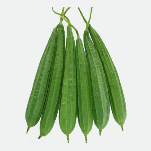 Healthy and Natural Green Fresh Ridge Gourd